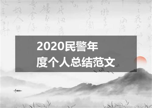 2020民警年度个人总结范文