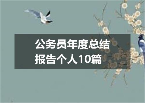 公务员年度总结报告个人10篇