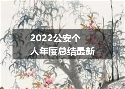 2022公安个人年度总结最新