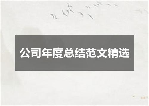 公司年度总结范文精选