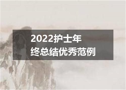 2022护士年终总结优秀范例
