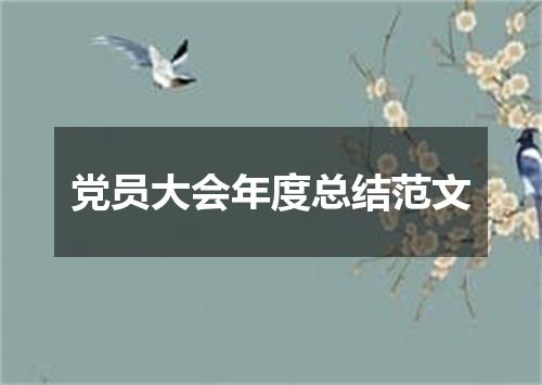党员大会年度总结范文