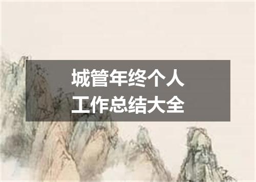 城管年终个人工作总结大全