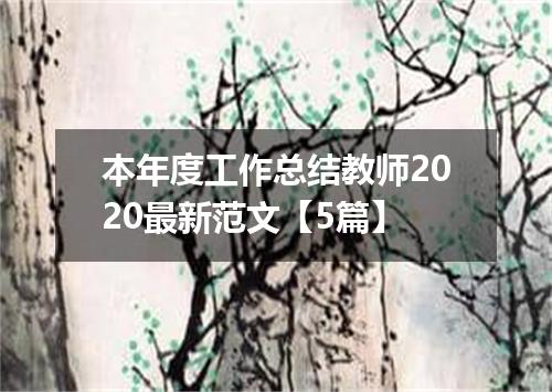 本年度工作总结教师2020最新范文【5篇】
