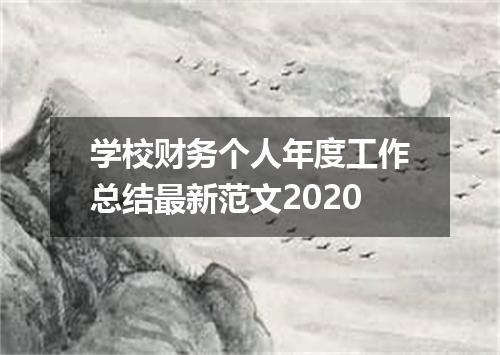 学校财务个人年度工作总结最新范文2020