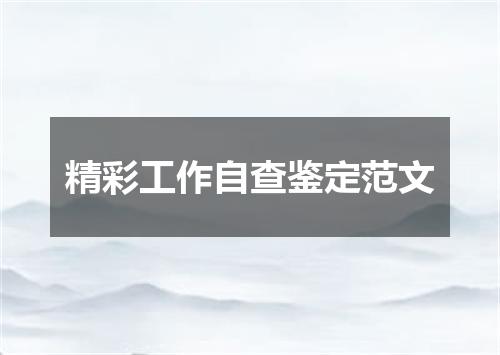 精彩工作自查鉴定范文
