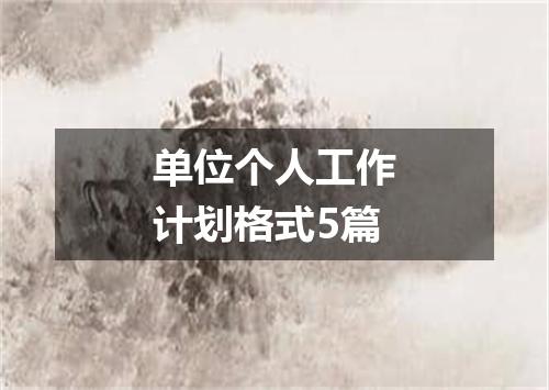 单位个人工作计划格式5篇