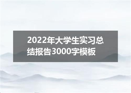 2022年大学生实习总结报告3000字模板