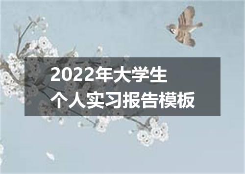 2022年大学生个人实习报告模板