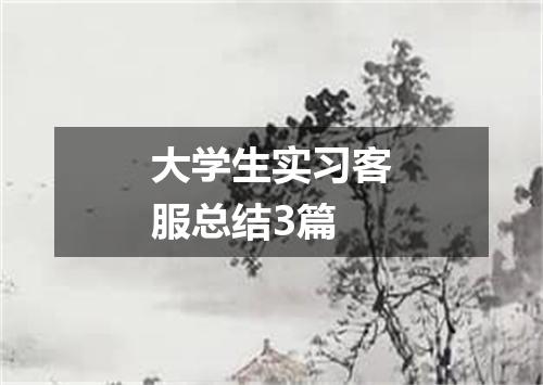 大学生实习客服总结3篇