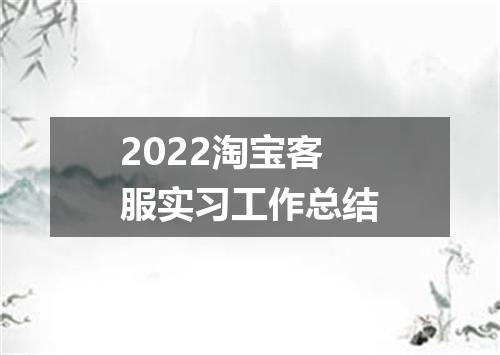 2022淘宝客服实习工作总结