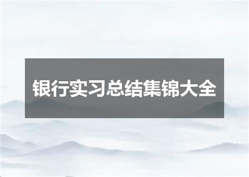 银行实习总结集锦大全