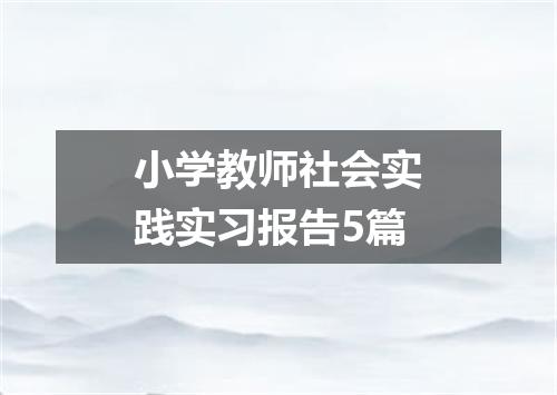 小学教师社会实践实习报告5篇