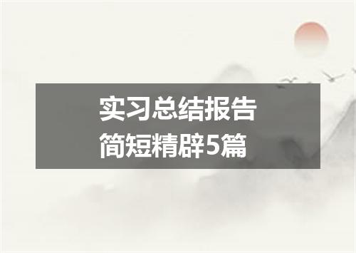 实习总结报告简短精辟5篇