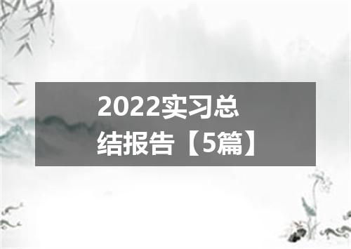 2022实习总结报告【5篇】
