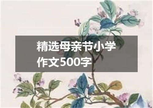 精选母亲节小学作文500字