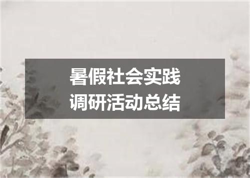 暑假社会实践调研活动总结