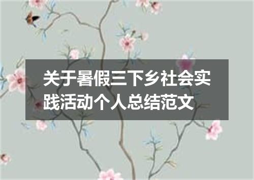 关于暑假三下乡社会实践活动个人总结范文