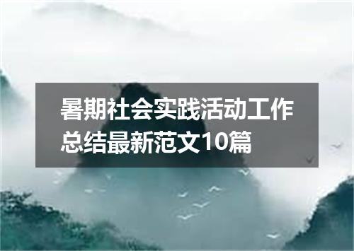 暑期社会实践活动工作总结最新范文10篇