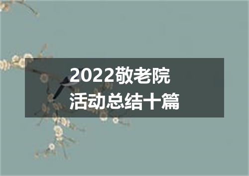 2022敬老院活动总结十篇