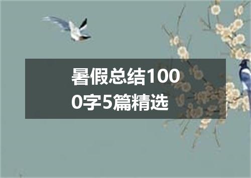 暑假总结1000字5篇精选