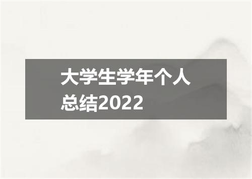 大学生学年个人总结2022