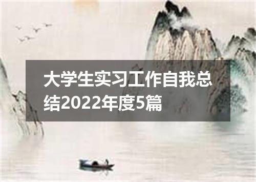 大学生实习工作自我总结2022年度5篇