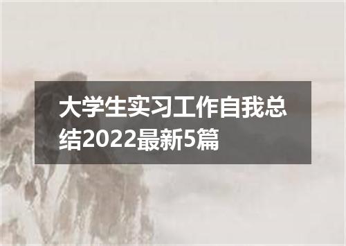 大学生实习工作自我总结2022最新5篇