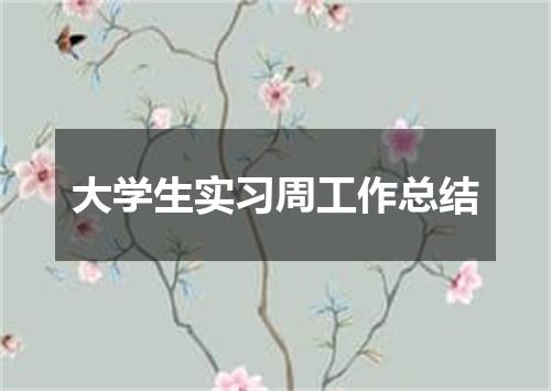大学生实习周工作总结