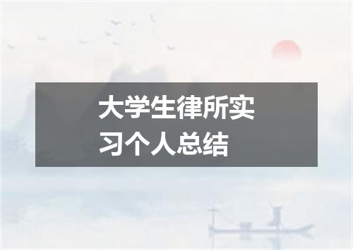 大学生律所实习个人总结