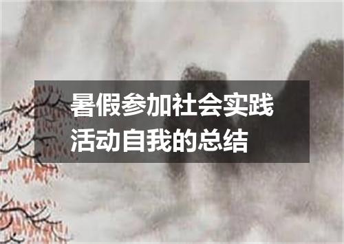 暑假参加社会实践活动自我的总结