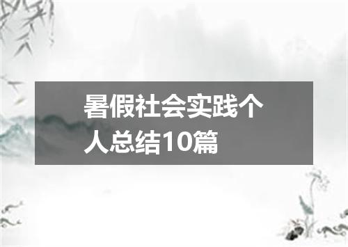 暑假社会实践个人总结10篇
