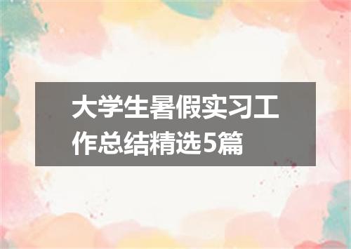大学生暑假实习工作总结精选5篇
