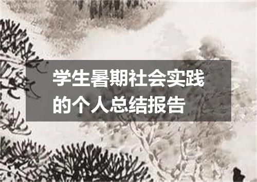学生暑期社会实践的个人总结报告