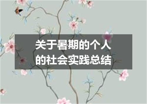 关于暑期的个人的社会实践总结