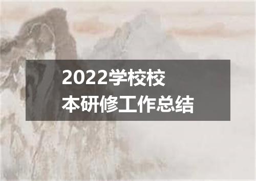 2022学校校本研修工作总结