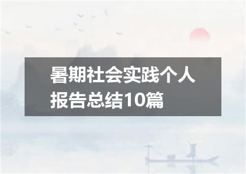 暑期社会实践个人报告总结10篇