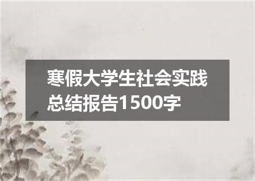 寒假大学生社会实践总结报告1500字