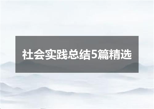 社会实践总结5篇精选