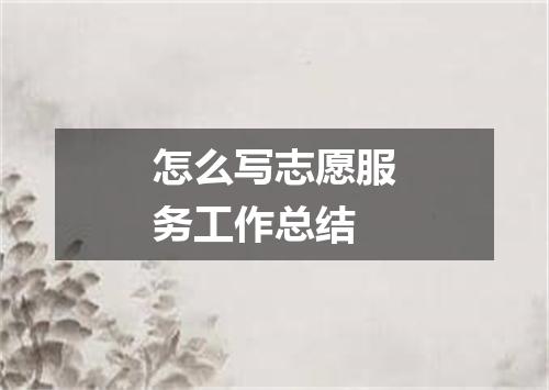 怎么写志愿服务工作总结