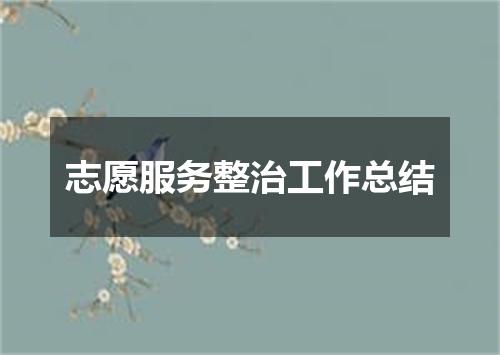 志愿服务整治工作总结