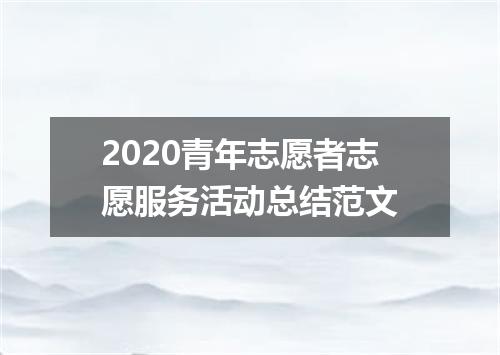 2020青年志愿者志愿服务活动总结范文
