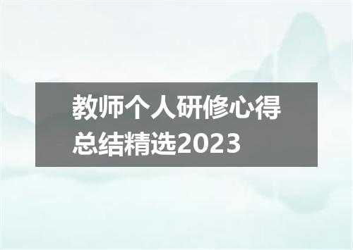 教师个人研修心得总结精选2023