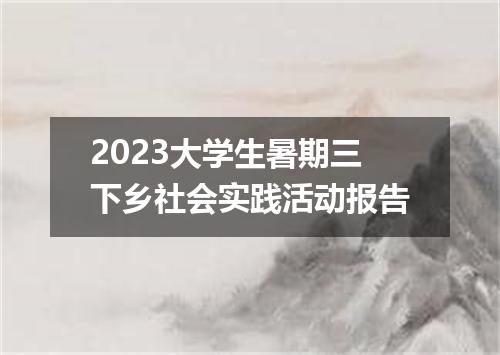 2023大学生暑期三下乡社会实践活动报告