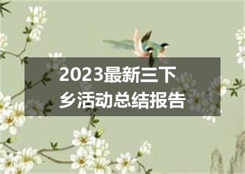 2023最新三下乡活动总结报告