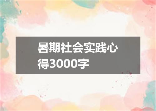 暑期社会实践心得3000字