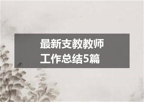最新支教教师工作总结5篇