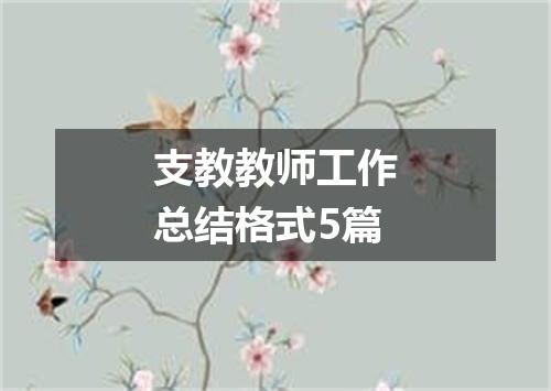 支教教师工作总结格式5篇