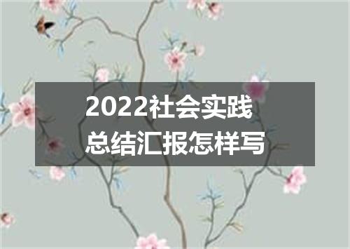 2022社会实践总结汇报怎样写
