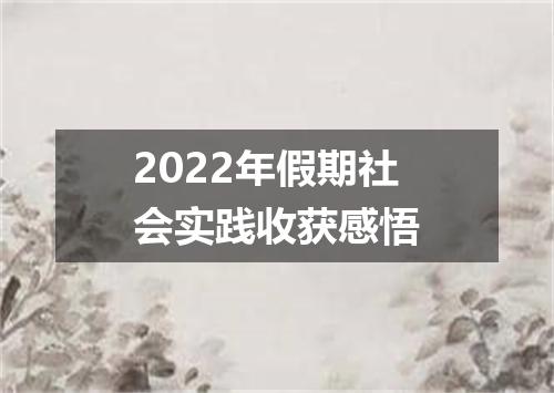 2022年假期社会实践收获感悟